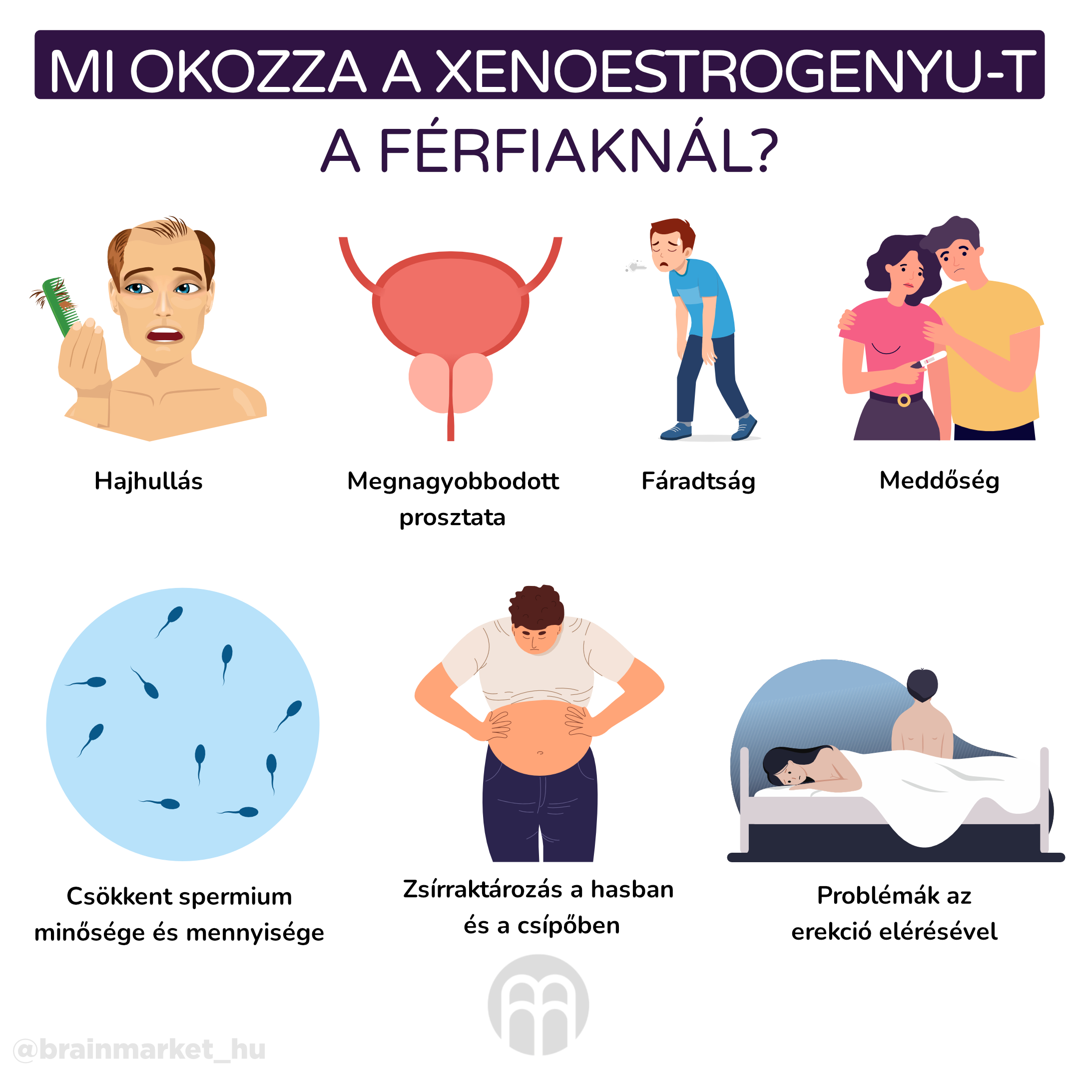 Co způsobují xenoestrogeny u mužů__infografika_hu